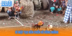 Bi Mat Tao Nen Chien Ke Dung Manh
